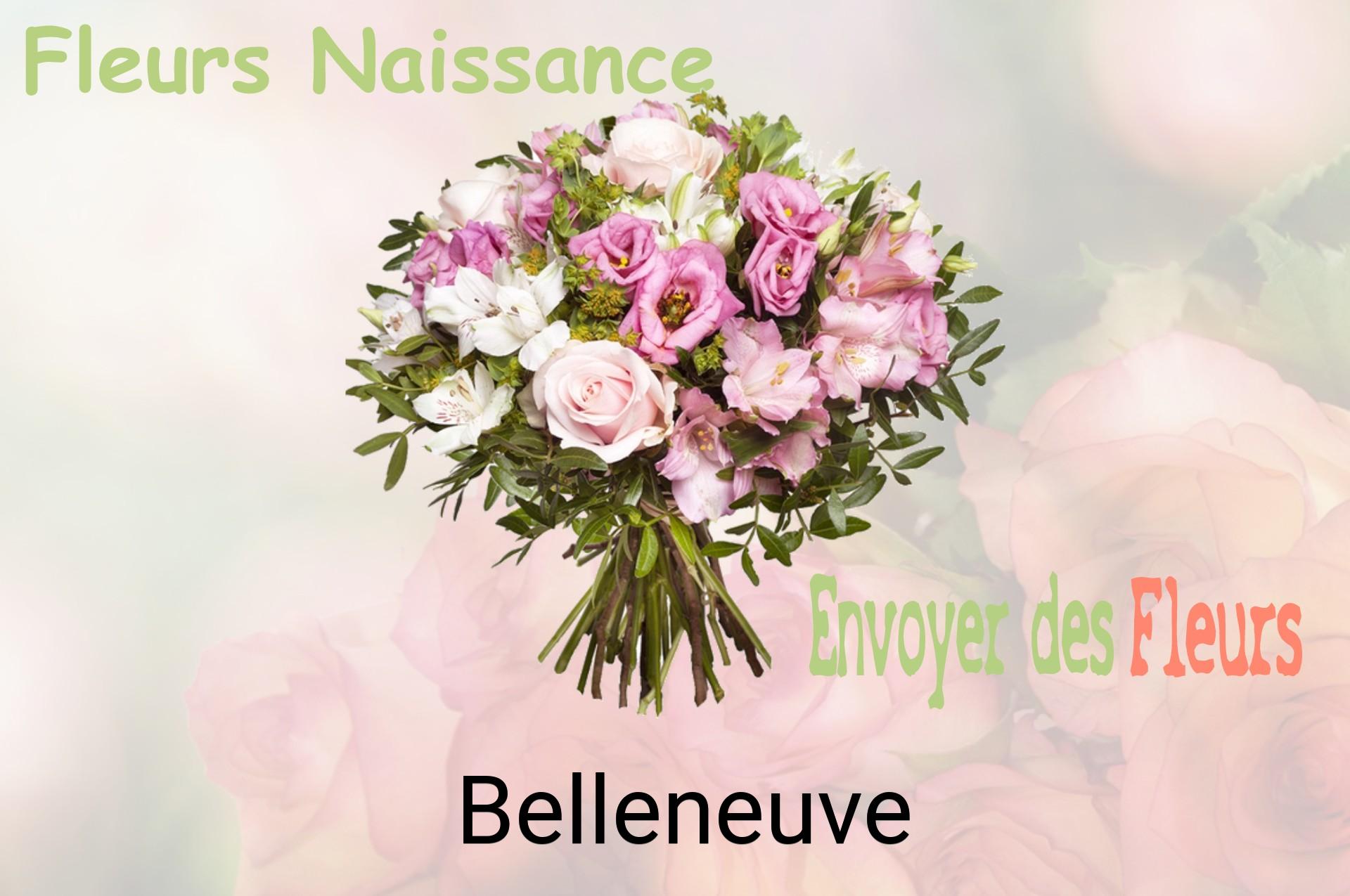 Bouquet de fleurs de naissance livré à Belleneuve